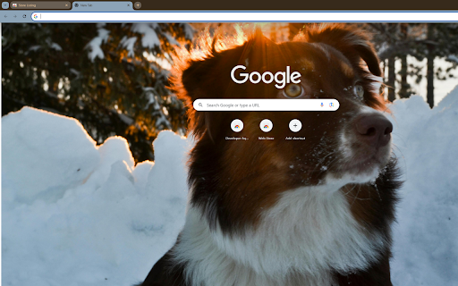 Macu the Snow Dog at dawn in the forest from Chrome web store to be run with OffiDocs Chromium online Macu the Snow Dog at dawn in the forest from Chrome web store to be run with OffiDocs Chromium online