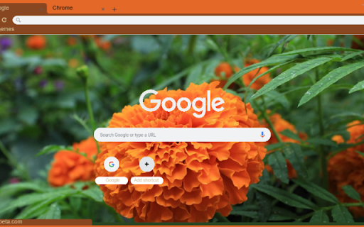 Mexican Marigold from Chrome web store to be run with OffiDocs Chromium online Mexican Marigold from Chrome web store to be run with OffiDocs Chromium online