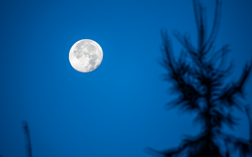 Moonlit night without stars from Chrome web store to be run with OffiDocs Chromium online Moonlit night without stars from Chrome web store to be run with OffiDocs Chromium online