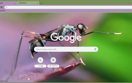 Mosquito from Chrome web store to be run with OffiDocs Chromium online Mosquito from Chrome web store to be run with OffiDocs Chromium online