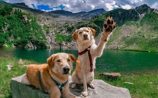 Mountain Adventure Pals from Chrome web store to be run with OffiDocs Chromium online Mountain Adventure Pals from Chrome web store to be run with OffiDocs Chromium online