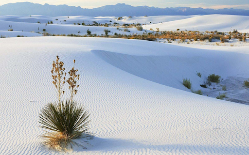 Mui Ne White Sand Dunes from Chrome web store to be run with OffiDocs Chromium online Mui Ne White Sand Dunes from Chrome web store to be run with OffiDocs Chromium online