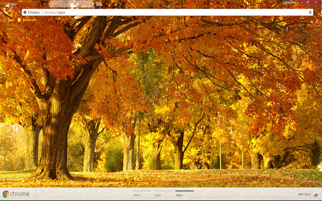 Nature Fall from Chrome web store to be run with OffiDocs Chromium online Nature Fall from Chrome web store to be run with OffiDocs Chromium online