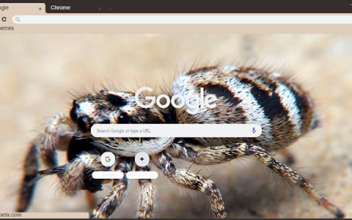 Nhen Nhay from Chrome web store to be run with OffiDocs Chromium online Nhen Nhay from Chrome web store to be run with OffiDocs Chromium online