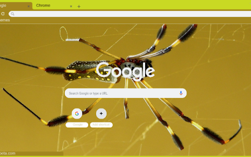 Nhen Vang from Chrome web store to be run with OffiDocs Chromium online Nhen Vang from Chrome web store to be run with OffiDocs Chromium online