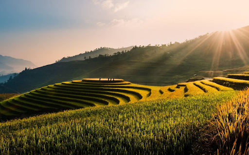 Nine terraced fields from Chrome web store to be run with OffiDocs Chromium online Nine terraced fields from Chrome web store to be run with OffiDocs Chromium online