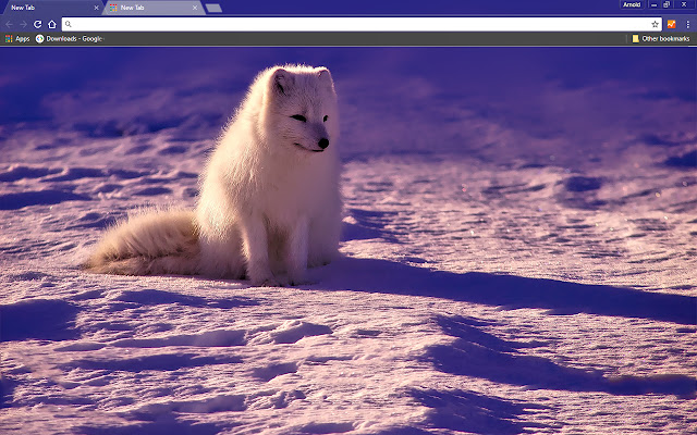 Norway from Chrome web store to be run with OffiDocs Chromium online Norway from Chrome web store to be run with OffiDocs Chromium online