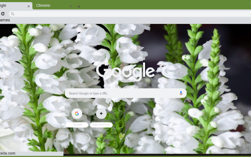 Obedient Plant White from Chrome web store to be run with OffiDocs Chromium online Obedient Plant White from Chrome web store to be run with OffiDocs Chromium online