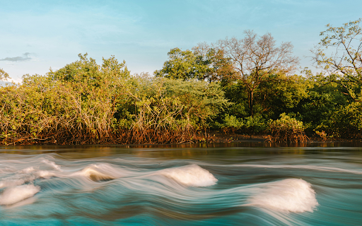 Olas Bailarinas from Chrome web store to be run with OffiDocs Chromium online Olas Bailarinas from Chrome web store to be run with OffiDocs Chromium online