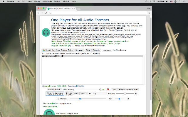 One Player for All Audio Formats from Chrome web store to be run with OffiDocs Chromium online One Player for All Audio Formats from Chrome web store to be run with OffiDocs Chromium online