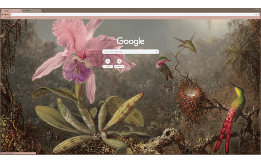 Orchid and Hummingbirds from Chrome web store to be run with OffiDocs Chromium online Orchid and Hummingbirds from Chrome web store to be run with OffiDocs Chromium online