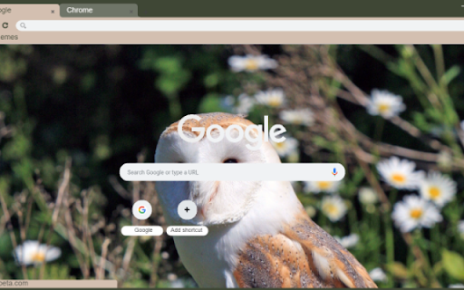Owl from Chrome web store to be run with OffiDocs Chromium online Owl from Chrome web store to be run with OffiDocs Chromium online