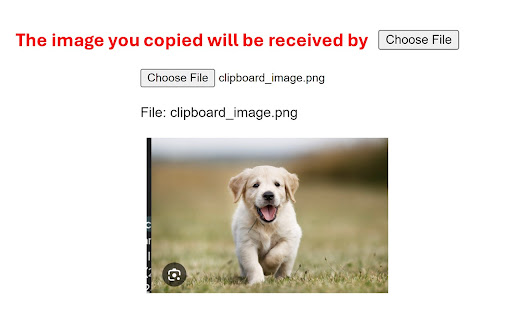 Paste to Choose File from Chrome web store to be run with OffiDocs Chromium online Paste to Choose File from Chrome web store to be run with OffiDocs Chromium online