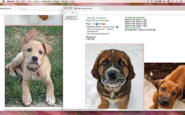 PDF Image Extractor from Chrome web store to be run with OffiDocs Chromium online PDF Image Extractor from Chrome web store to be run with OffiDocs Chromium online