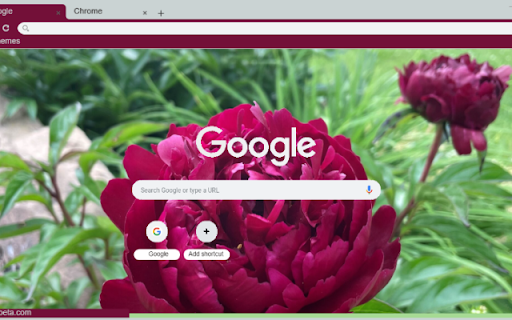 Peony from Chrome web store to be run with OffiDocs Chromium online Peony from Chrome web store to be run with OffiDocs Chromium online