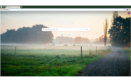 Photography of Green Grass Field from Chrome web store to be run with OffiDocs Chromium online Photography of Green Grass Field from Chrome web store to be run with OffiDocs Chromium online