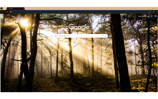 Photo of Trees at Golden Hour from Chrome web store to be run with OffiDocs Chromium online Photo of Trees at Golden Hour from Chrome web store to be run with OffiDocs Chromium online