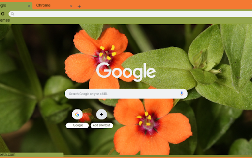 Pimpernel from Chrome web store to be run with OffiDocs Chromium online Pimpernel from Chrome web store to be run with OffiDocs Chromium online