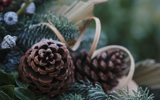 PINE FRUITTheme from Chrome web store to be run with OffiDocs Chromium online PINE FRUITTheme from Chrome web store to be run with OffiDocs Chromium online