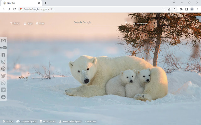 Polar Bear Wallpaper New Tab from Chrome web store to be run with OffiDocs Chromium online Polar Bear Wallpaper New Tab from Chrome web store to be run with OffiDocs Chromium online