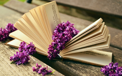 Polyscias fruticosa and book from Chrome web store to be run with OffiDocs Chromium online Polyscias fruticosa and book from Chrome web store to be run with OffiDocs Chromium online