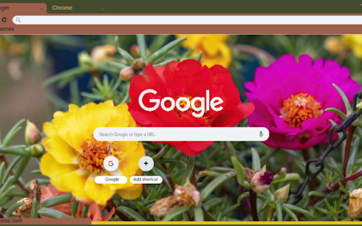 Portulaca from Chrome web store to be run with OffiDocs Chromium online Portulaca from Chrome web store to be run with OffiDocs Chromium online