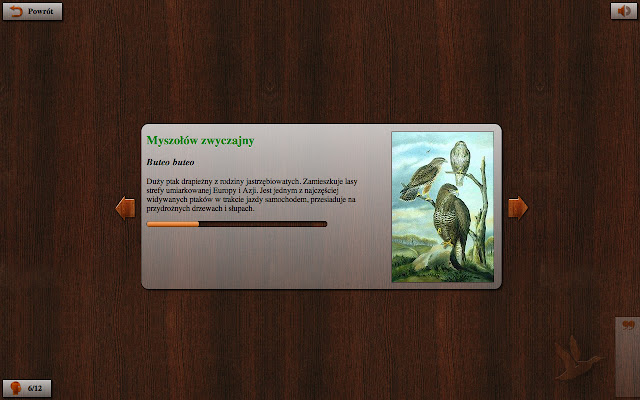 Ptasie Radio 2 from Chrome web store to be run with OffiDocs Chromium online Ptasie Radio 2 from Chrome web store to be run with OffiDocs Chromium online