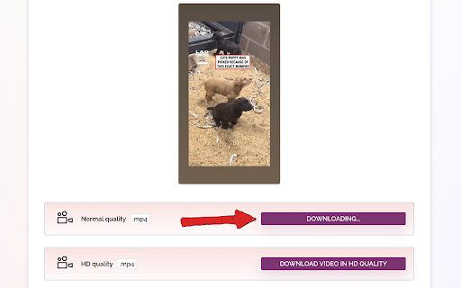 Rapid Video Downloader for Facebook™ from Chrome web store to be run with OffiDocs Chromium online Rapid Video Downloader for Facebook™ from Chrome web store to be run with OffiDocs Chromium online