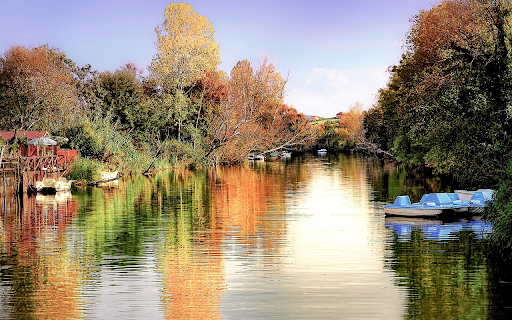 River and trees from Chrome web store to be run with OffiDocs Chromium online River and trees from Chrome web store to be run with OffiDocs Chromium online