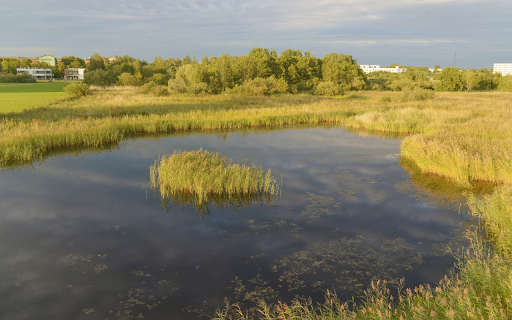 River and weeds from Chrome web store to be run with OffiDocs Chromium online River and weeds from Chrome web store to be run with OffiDocs Chromium online