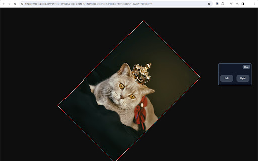 Rotato Rotate Images in Chrome from Chrome web store to be run with OffiDocs Chromium online Rotato Rotate Images in Chrome from Chrome web store to be run with OffiDocs Chromium online