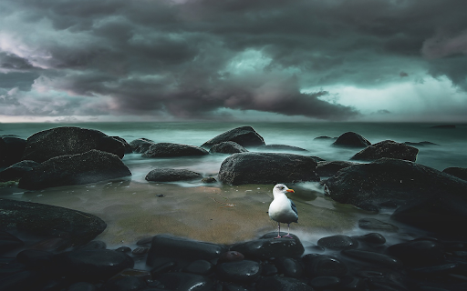 Round stone beach from Chrome web store to be run with OffiDocs Chromium online Round stone beach from Chrome web store to be run with OffiDocs Chromium online