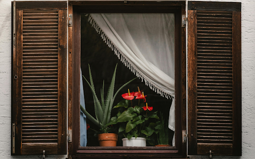 Rustic Window with Vibrant Indoor Plants from Chrome web store to be run with OffiDocs Chromium online Rustic Window with Vibrant Indoor Plants from Chrome web store to be run with OffiDocs Chromium online