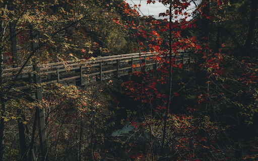 Rustic Wooden Bridge in Autumn Forest Setting from Chrome web store to be run with OffiDocs Chromium online Rustic Wooden Bridge in Autumn Forest Setting from Chrome web store to be run with OffiDocs Chromium online