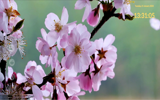 Sakura Harmony from Chrome web store to be run with OffiDocs Chromium online Sakura Harmony from Chrome web store to be run with OffiDocs Chromium online