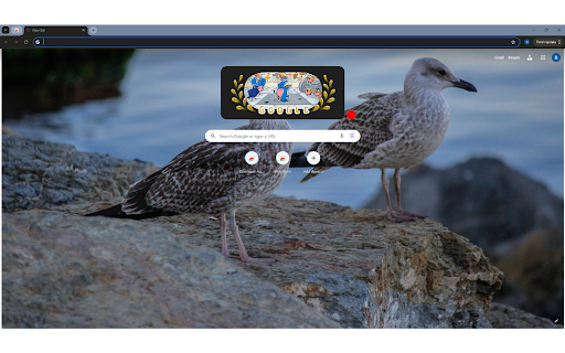 Seagulls on a Rock from Chrome web store to be run with OffiDocs Chromium online Seagulls on a Rock from Chrome web store to be run with OffiDocs Chromium online