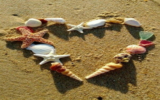 Seashells on the sand wallpaper from Chrome web store to be run with OffiDocs Chromium online Seashells on the sand wallpaper from Chrome web store to be run with OffiDocs Chromium online