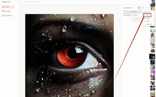 SeedMidjourney from Chrome web store to be run with OffiDocs Chromium online SeedMidjourney from Chrome web store to be run with OffiDocs Chromium online