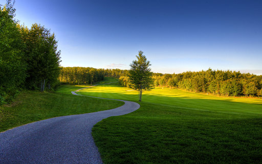 Serene Path Through Green from Chrome web store to be run with OffiDocs Chromium online Serene Path Through Green from Chrome web store to be run with OffiDocs Chromium online