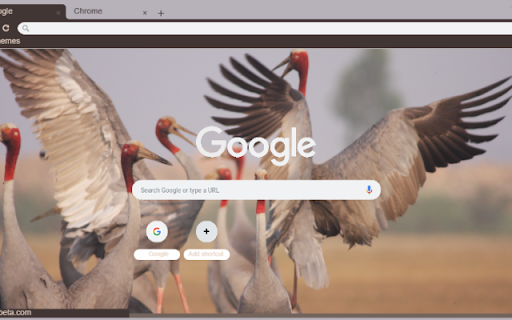 Seu from Chrome web store to be run with OffiDocs Chromium online Seu from Chrome web store to be run with OffiDocs Chromium online