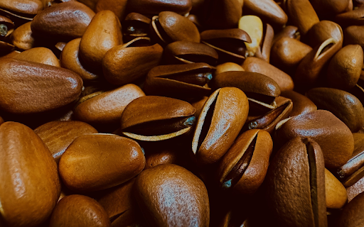 Shiny brown pine nuts from Chrome web store to be run with OffiDocs Chromium online Shiny brown pine nuts from Chrome web store to be run with OffiDocs Chromium online