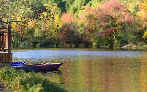 Small boat on the river from Chrome web store to be run with OffiDocs Chromium online Small boat on the river from Chrome web store to be run with OffiDocs Chromium online