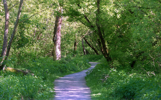 Small path into the green forest from Chrome web store to be run with OffiDocs Chromium online Small path into the green forest from Chrome web store to be run with OffiDocs Chromium online