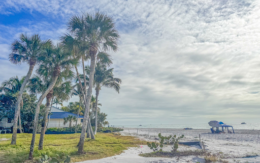 Soaring sea palms from Chrome web store to be run with OffiDocs Chromium online Soaring sea palms from Chrome web store to be run with OffiDocs Chromium online