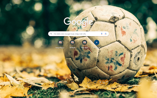 Soccer Ball On Leaft Field Autumn from Chrome web store to be run with OffiDocs Chromium online Soccer Ball On Leaft Field Autumn from Chrome web store to be run with OffiDocs Chromium online