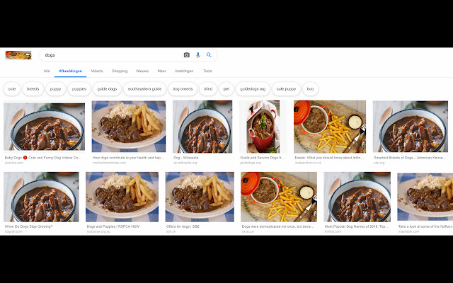 Stoofvlees Chrome from Chrome web store to be run with OffiDocs Chromium online Stoofvlees Chrome from Chrome web store to be run with OffiDocs Chromium online