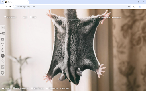 Sugar Glider Wallpaper from Chrome web store to be run with OffiDocs Chromium online Sugar Glider Wallpaper from Chrome web store to be run with OffiDocs Chromium online
