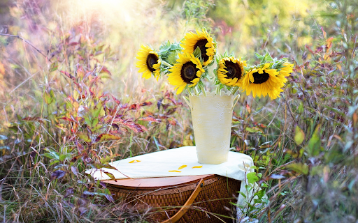 Sunflower vase from Chrome web store to be run with OffiDocs Chromium online Sunflower vase from Chrome web store to be run with OffiDocs Chromium online