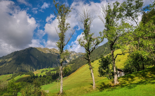 Sunlight on the lotus hill from Chrome web store to be run with OffiDocs Chromium online Sunlight on the lotus hill from Chrome web store to be run with OffiDocs Chromium online