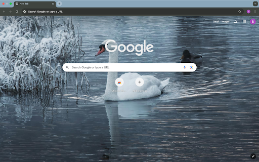 Swans and lakes from Chrome web store to be run with OffiDocs Chromium online Swans and lakes from Chrome web store to be run with OffiDocs Chromium online